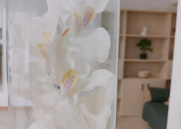 Piano Terra Pineta Mare Apartament Pescara