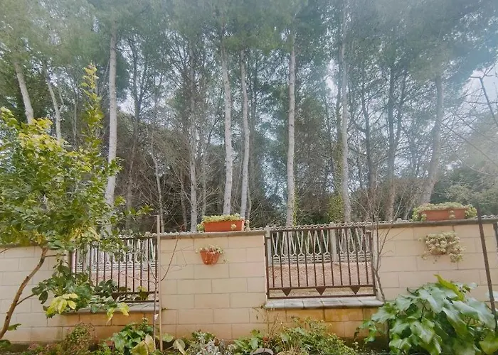 Apartament Piano Terra Pineta Mare Pescara