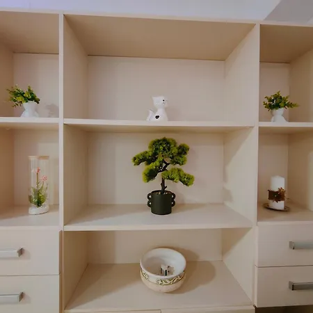 Daire Piano Terra Pineta Mare Pescara