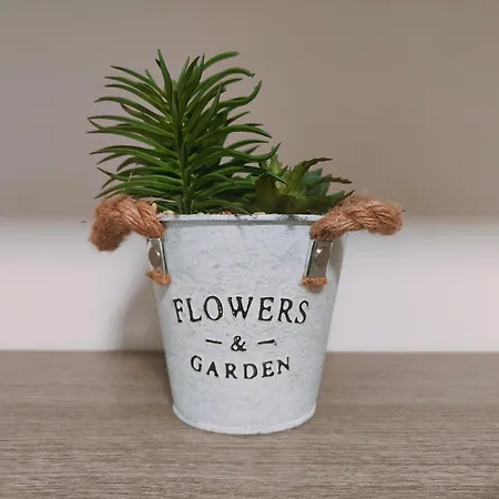 Διαμέρισμα Piano Terra Pineta Mare Πεσκάρα