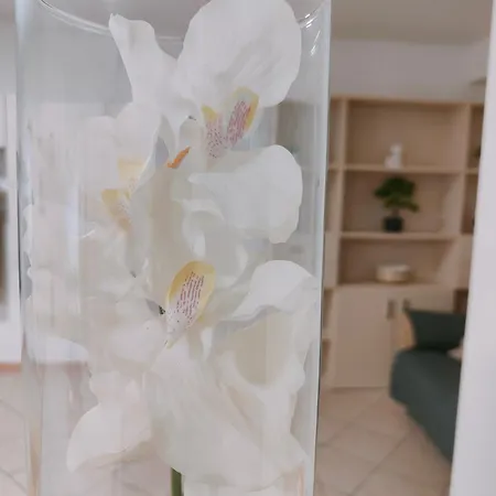 Piano Terra Pineta Mare Διαμέρισμα Πεσκάρα