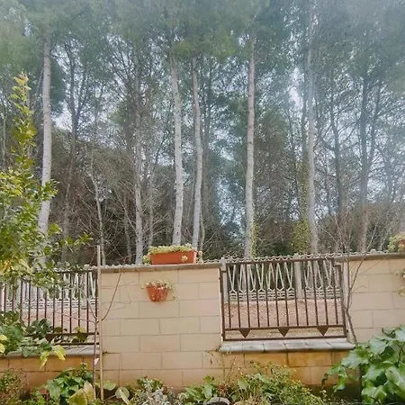 Daire Piano Terra Pineta Mare Pescara