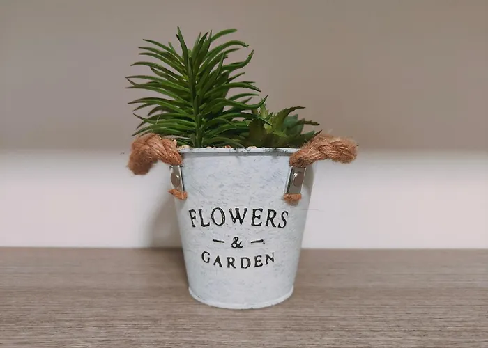 Апартаменты Piano Terra Pineta Mare Пескара